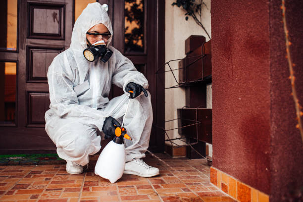 Attic and Crawl Space Rodent Treatment in East Missoula